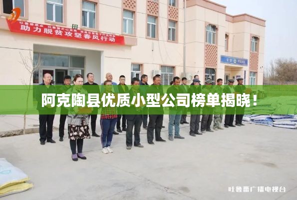 阿克陶縣優(yōu)質(zhì)小型公司榜單揭曉！