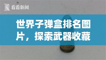世界子彈盒排名圖片，探索武器收藏品的獨(dú)特魅力與力量展示