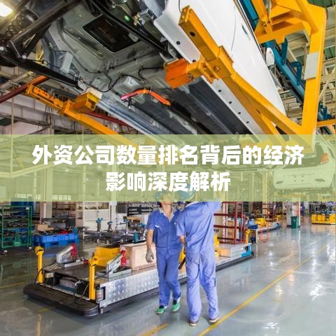 外資公司數(shù)量排名背后的經(jīng)濟(jì)影響深度解析