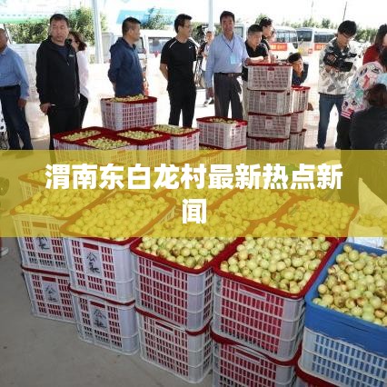 渭南東白龍村最新熱點新聞