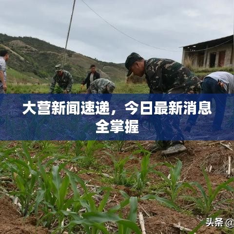 大營新聞速遞，今日最新消息全掌握