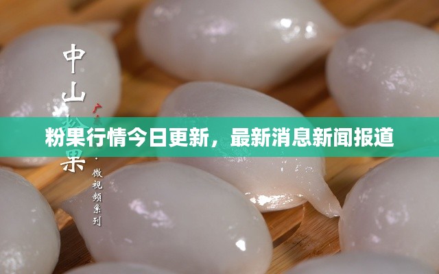 粉果行情今日更新，最新消息新聞報道