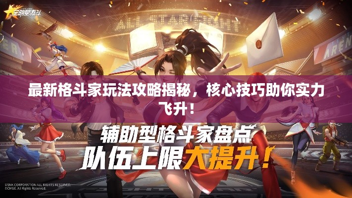 最新格斗家玩法攻略揭秘，核心技巧助你實(shí)力飛升！