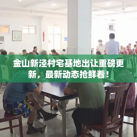 金山新涇村宅基地出讓重磅更新，最新動態(tài)搶鮮看！