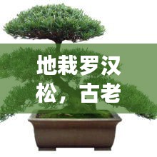 還樸反古 第2頁