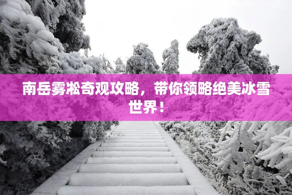 南岳霧凇奇觀攻略，帶你領略絕美冰雪世界！