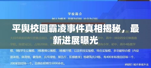 平輿校園霸凌事件真相揭秘，最新進(jìn)展曝光