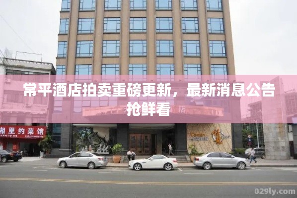 常平酒店拍賣(mài)重磅更新，最新消息公告搶鮮看