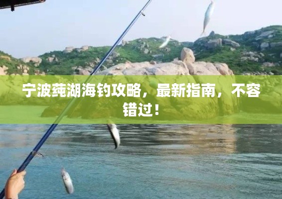 寧波莼湖海釣攻略，最新指南，不容錯(cuò)過！