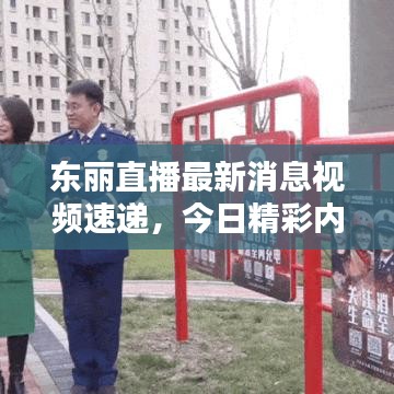 東麗直播最新消息視頻速遞，今日精彩內(nèi)容搶先看