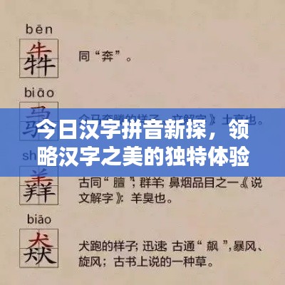 今日漢字拼音新探，領(lǐng)略漢字之美的獨(dú)特體驗(yàn)