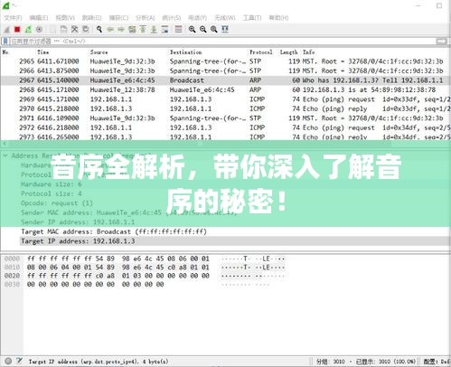 音序全解析，帶你深入了解音序的秘密！