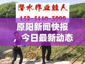 原陽新聞快報，今日最新動態(tài)