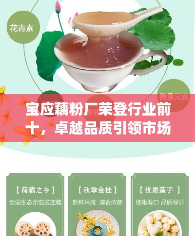 寶應(yīng)藕粉廠榮登行業(yè)前十，卓越品質(zhì)引領(lǐng)市場新潮流