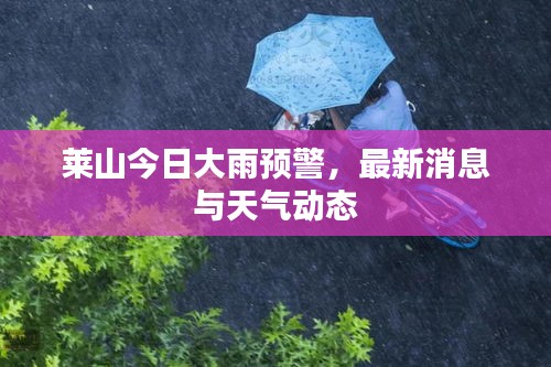 萊山今日大雨預(yù)警，最新消息與天氣動態(tài)
