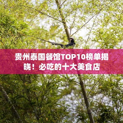 貴州泰國餐館TOP10榜單揭曉！必吃的十大美食店