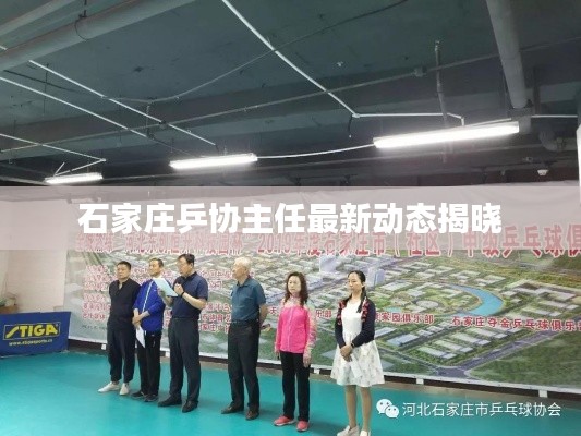 石家莊乒協(xié)主任最新動態(tài)揭曉