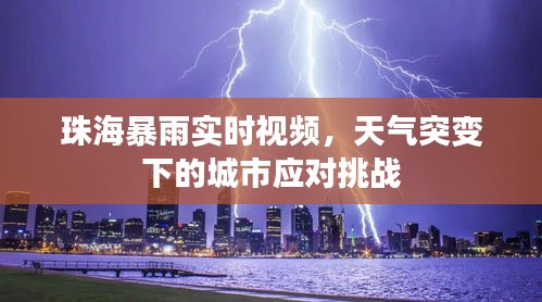 珠海暴雨實(shí)時(shí)視頻，天氣突變下的城市應(yīng)對(duì)挑戰(zhàn)