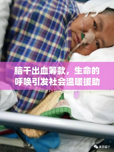 腦干出血籌款，生命的呼喚引發(fā)社會(huì)溫暖援助行動(dòng)！