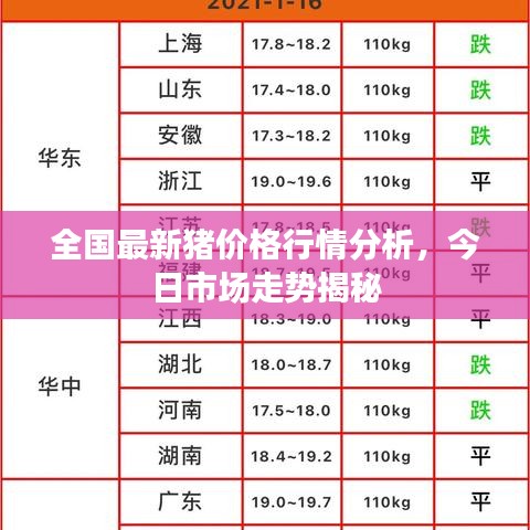 全國最新豬價格行情分析，今日市場走勢揭秘