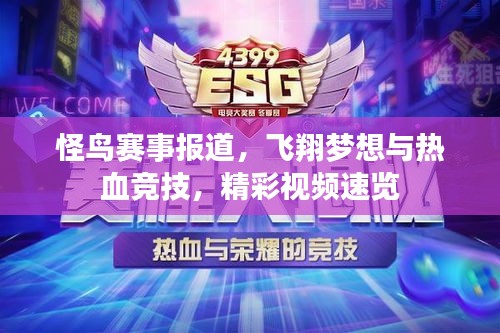 怪鳥賽事報道，飛翔夢想與熱血競技，精彩視頻速覽