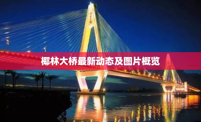 椰林大橋最新動態(tài)及圖片概覽