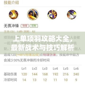 上單項羽攻略大全，最新戰(zhàn)術(shù)與技巧解析