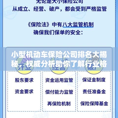 小型機(jī)動(dòng)車保險(xiǎn)公司排名大揭秘，權(quán)威分析助你了解行業(yè)格局！