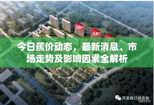 今日蕉價(jià)動(dòng)態(tài)，最新消息、市場(chǎng)走勢(shì)及影響因素全解析