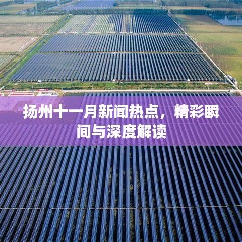 揚州十一月新聞熱點，精彩瞬間與深度解讀