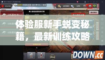體驗(yàn)服新手蛻變秘籍，最新訓(xùn)練攻略，輕松步入游戲高手之路！