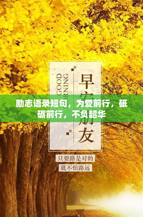 勵(lì)志語錄短句，為愛前行，砥礪前行，不負(fù)韶華