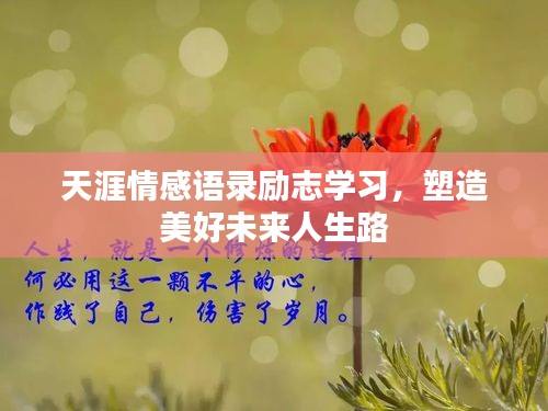 天涯情感語錄勵志學(xué)習(xí)，塑造美好未來人生路