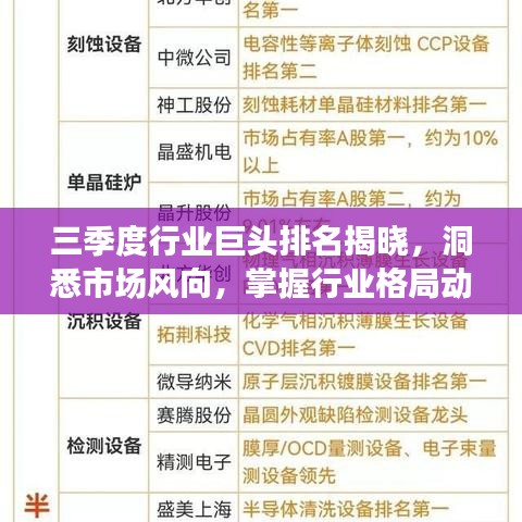三季度行業(yè)巨頭排名揭曉，洞悉市場(chǎng)風(fēng)向，掌握行業(yè)格局動(dòng)態(tài)