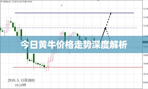 今日黃牛價格走勢深度解析