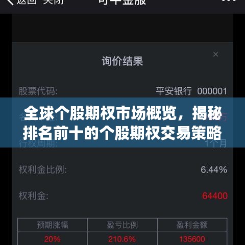 全球個股期權(quán)市場概覽，揭秘排名前十的個股期權(quán)交易策略解析