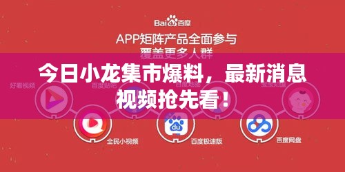 今日小龍集市爆料，最新消息視頻搶先看！