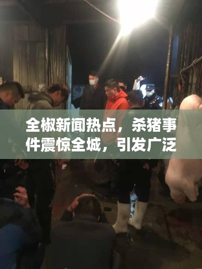 全椒新聞熱點，殺豬事件震驚全城，引發(fā)廣泛關注熱議