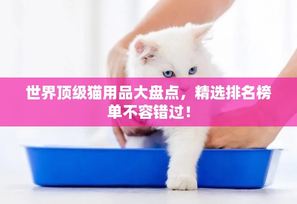 世界頂級貓用品大盤點，精選排名榜單不容錯過！