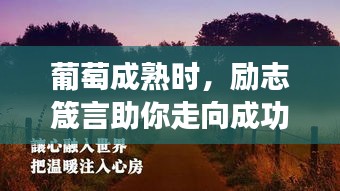 葡萄成熟時，勵志箴言助你走向成功之路