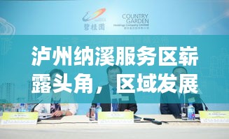 瀘州納溪服務(wù)區(qū)嶄露頭角，區(qū)域發(fā)展邁入新篇章，新聞熱點深度解析