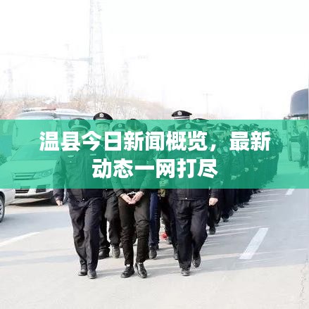 溫縣今日新聞概覽，最新動態(tài)一網(wǎng)打盡
