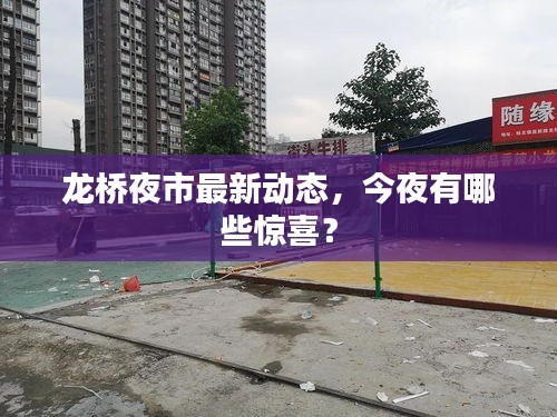 龍橋夜市最新動(dòng)態(tài)，今夜有哪些驚喜？