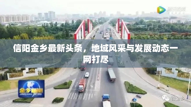信陽金鄉(xiāng)最新頭條，地域風采與發(fā)展動態(tài)一網(wǎng)打盡
