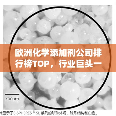 歐洲化學添加劑公司排行榜TOP，行業(yè)巨頭一覽