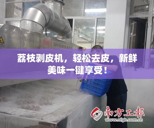 荔枝剝皮機(jī)，輕松去皮，新鮮美味一鍵享受！