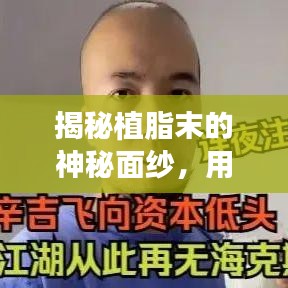 揭秘植脂末的神秘面紗，用途、功能與食品添加劑的深入了解