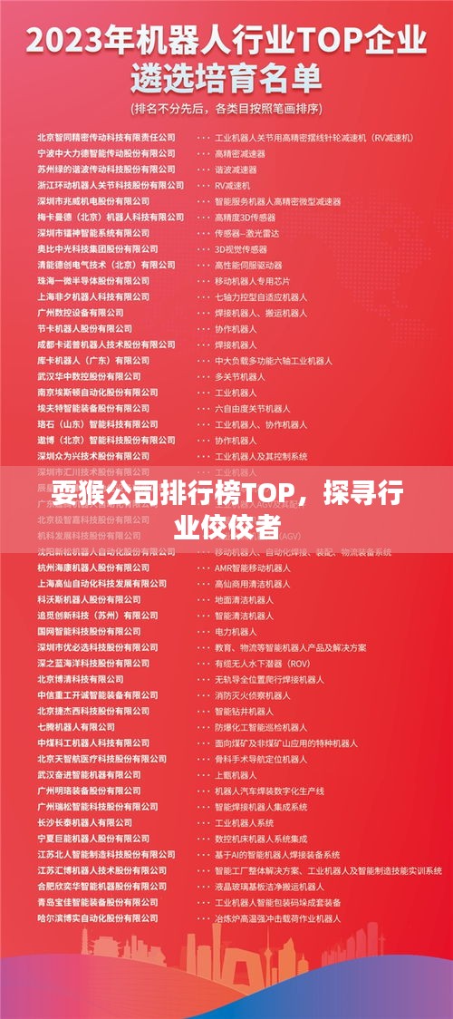 耍猴公司排行榜TOP，探尋行業(yè)佼佼者