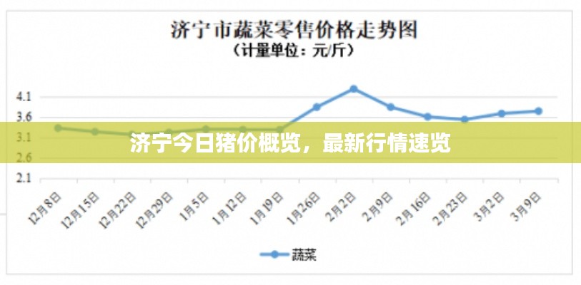 濟(jì)寧今日豬價概覽，最新行情速覽