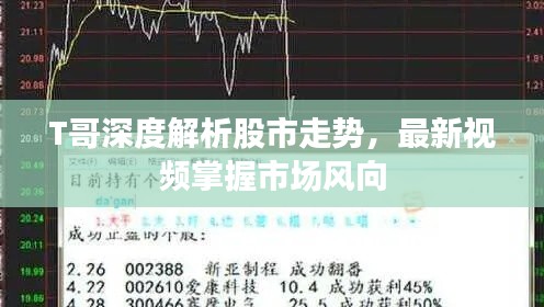 T哥深度解析股市走勢(shì)，最新視頻掌握市場(chǎng)風(fēng)向